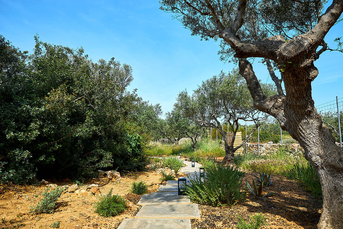 Olives And Thyme Retreat